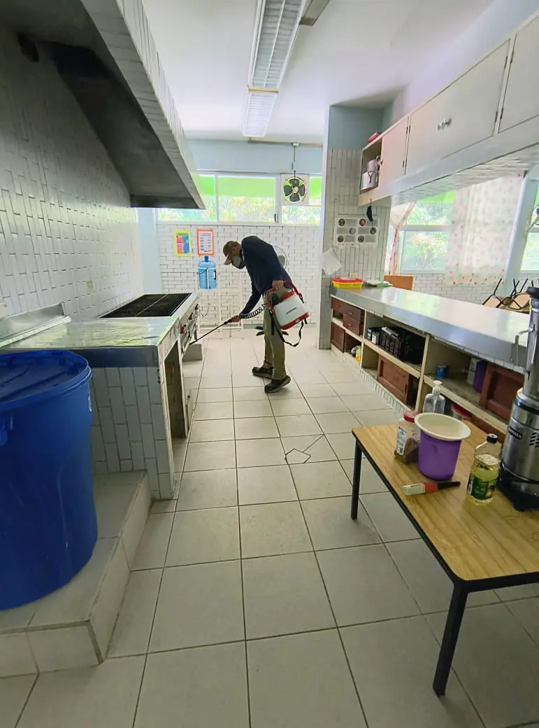Aplicación de control de plagas en una cocina institucional